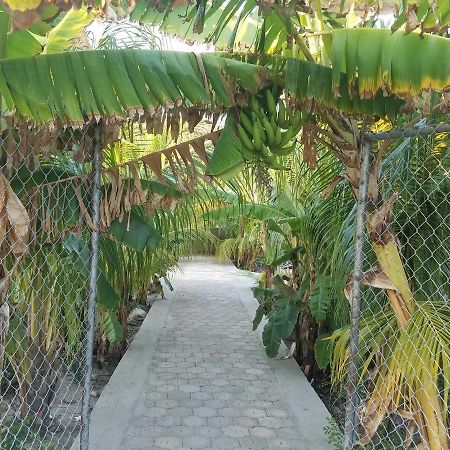Auberge Pont-Gaudin Gonaives Exteriér fotografie