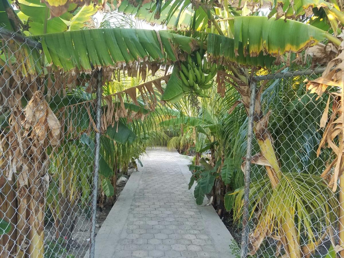Auberge Pont-Gaudin Gonaives Exteriér fotografie